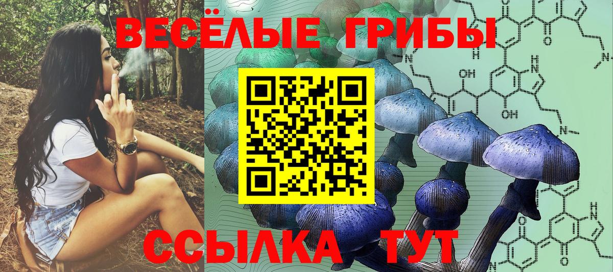 Галлюциногенные грибы Psilocybine cubensis  Вход с VPN  цена наркотик  Шебекино  Галлюциногенные грибы GOLDEN TEACHER 